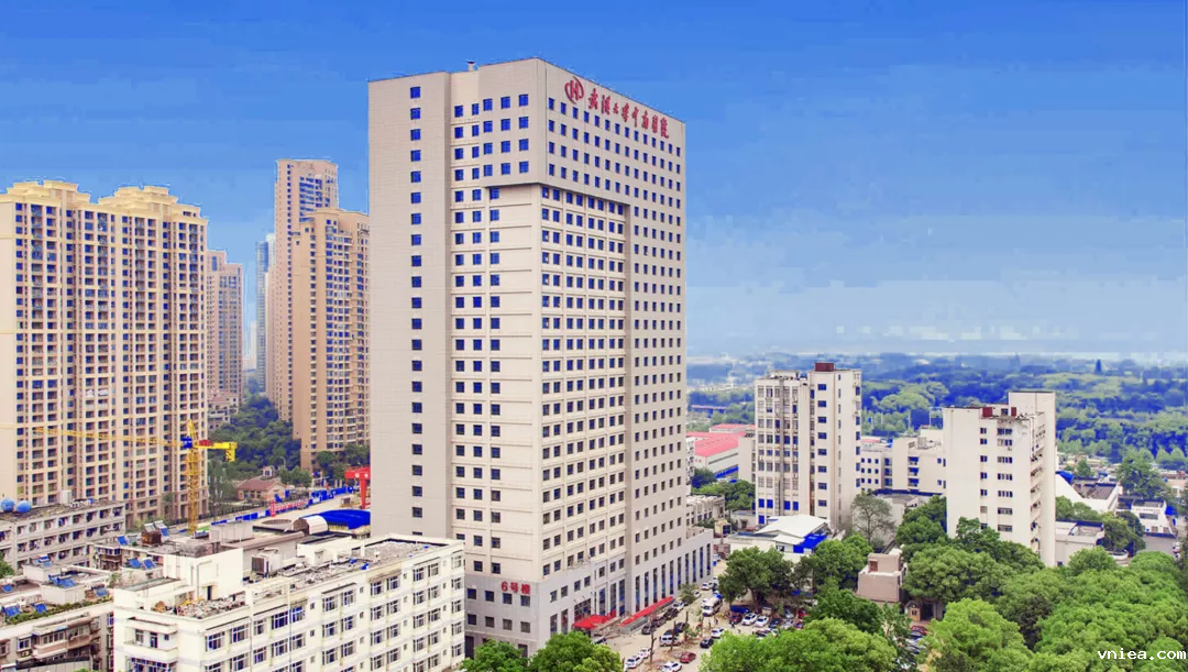 1621998249276479.png d41cc9876db62a8b4edf54dd7b80386.png