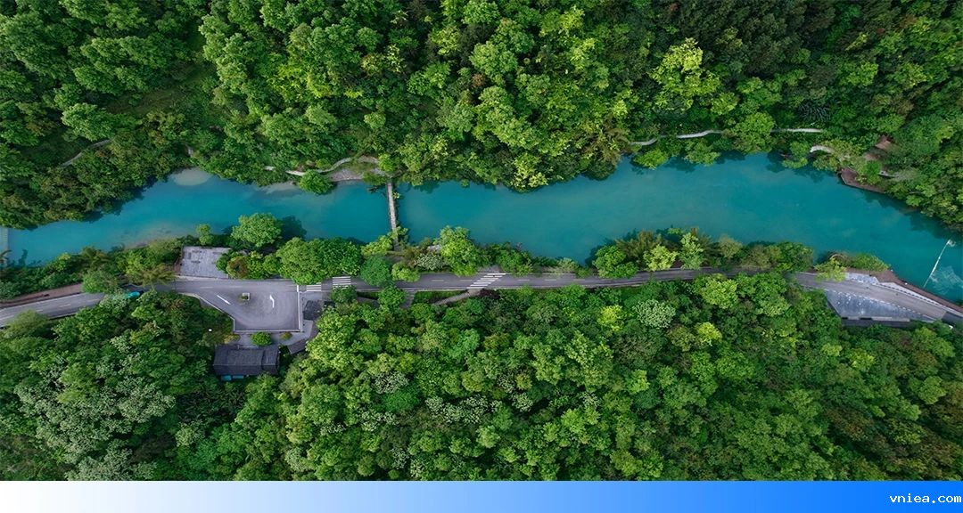 1736834156138790.jpg 01097.jpg