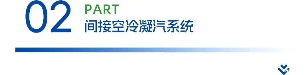 1744694211107149.jpg 3.jpg